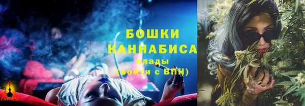 шишки Балахна