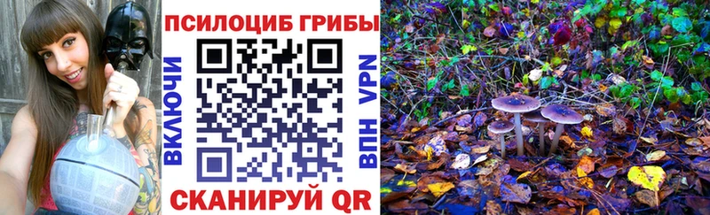 Псилоцибиновые грибы мухоморы  kraken как войти  Чухлома 